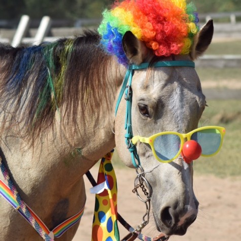 Dakota dressed as a clown. Photo credit: Bridget Moore