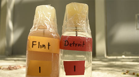 Flint Water Crisis