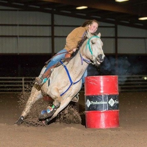 Horse-back riding is a sport