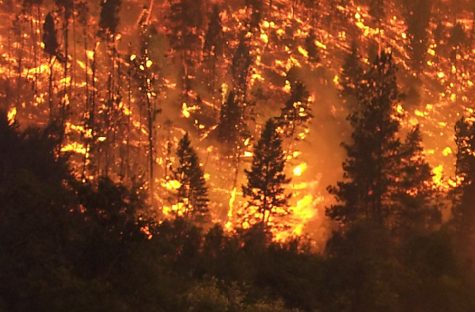 Inferno in Tennessee