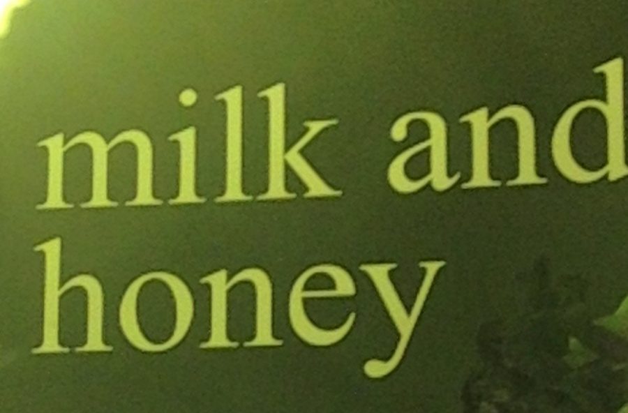 A copy of Milk and Honey 