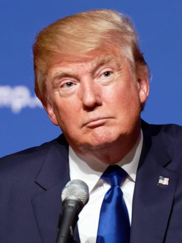 Trump’s First 100 Days