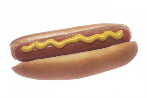 Is a Hot dog a Sandwich?