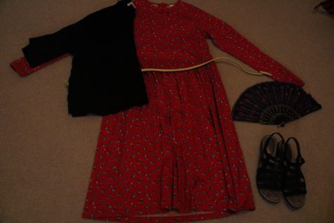 Getting Costume-Thrifty