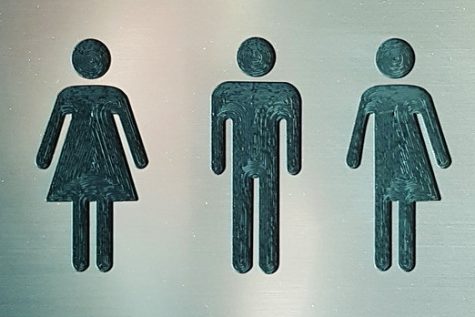 Gender: Redefined by Trump