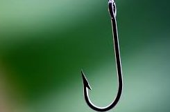 An actual fish hook