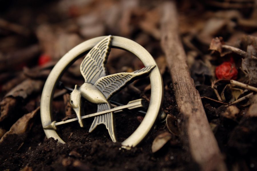 The famous mocking jay pin from The Hunger Games dropped in nature.