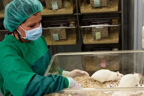 Harsh Reality of Animal Testing