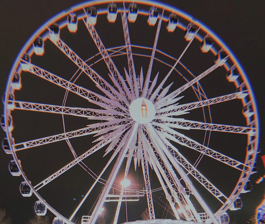 The Ferris wheel at the Houston Rodeo.