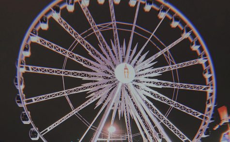 Rodeo Roundup