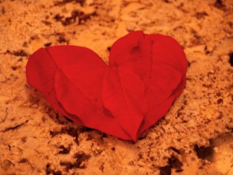 Valentines Day: The Bad and the Ugly