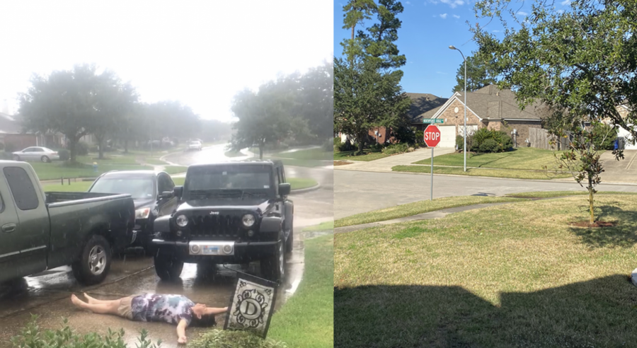 Two photos showing the extreme diversity here. Believe it or not, these photos were taken mere hours apart.