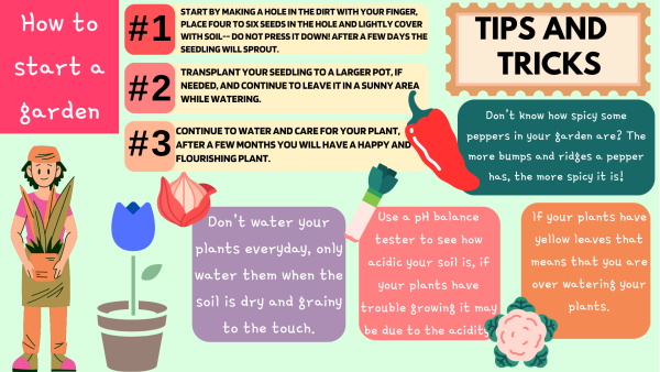 How to grow a garden