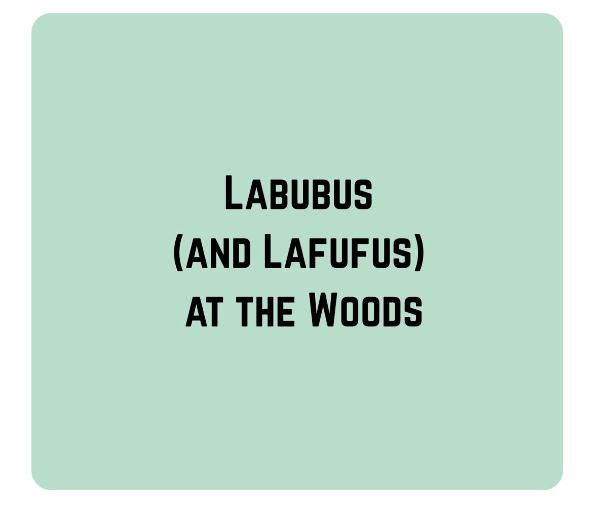 Labubus (and Lafufus) at the Woods