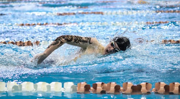 Junior Adam Speedie swims the 500 Free in the UIL Swim & Dive State Meet at the Lee and Joe Jamail Texas Swimming Center, Feb. 21, 2025.
