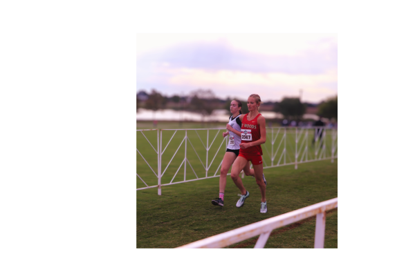Q&A with Laney Barnes (cross country)