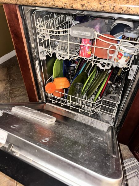 For years, junior Taylor Brooks's family had not touched the dishwasher. Emptying it was her father's job. 